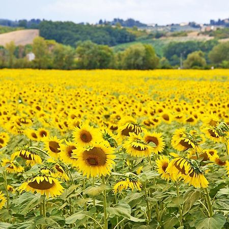 Agriturismo Tre Madonne Monteriggioni Kültér fotó