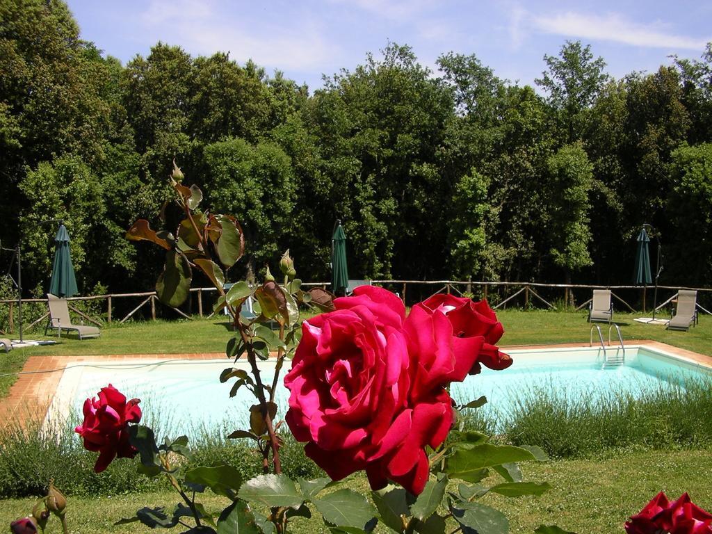 Agriturismo Tre Madonne Monteriggioni Kültér fotó