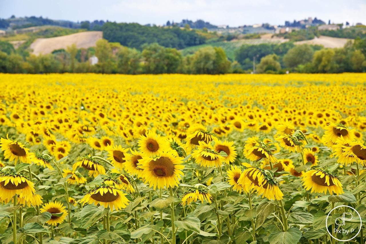 Agriturismo Tre Madonne Monteriggioni Kültér fotó